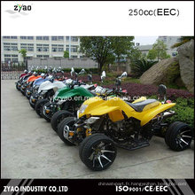 Quad Quad de roue en alliage 12 pouces avec EEC approuvé 250 cc Moteur refroidi par eau ATV inversé Gear